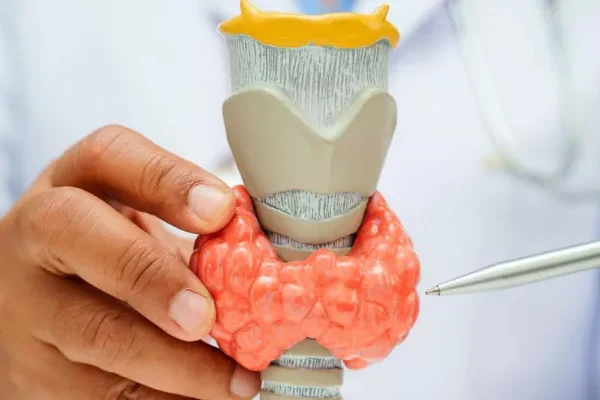 Tiroid Bezinin Az veya Fazla Çalışması Nasıl Anlaşılır?