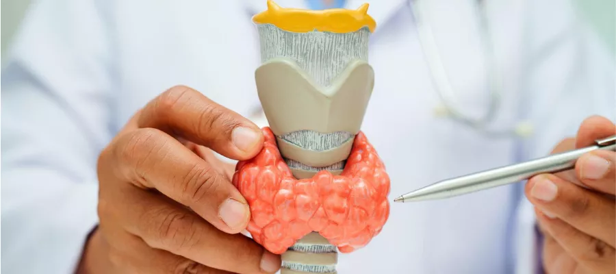 Tiroid Bezinin Az veya Fazla Çalışması Nasıl Anlaşılır?